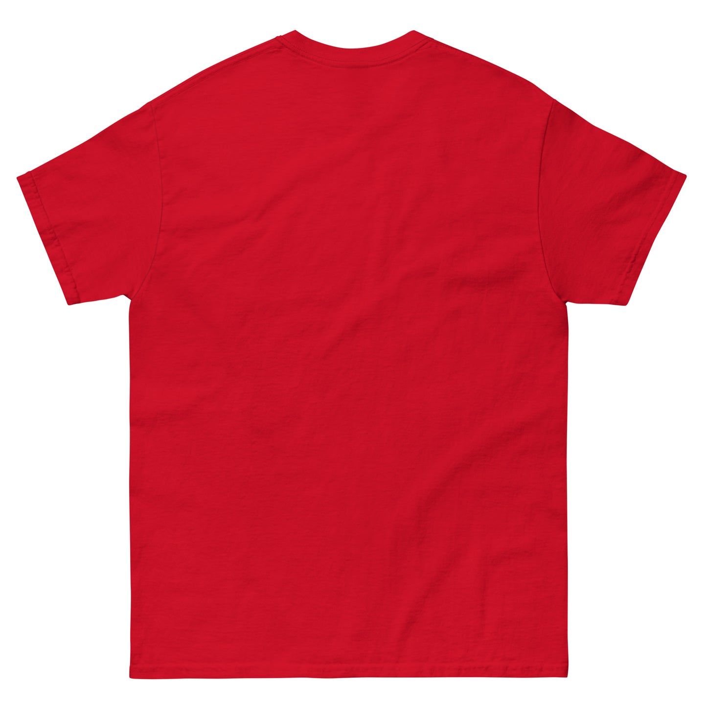 Stolen Valor Tim T-Shirt